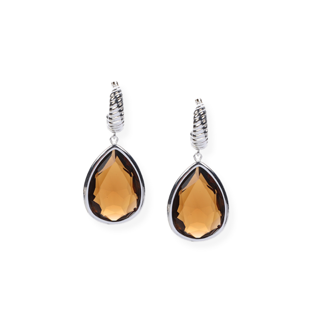 Vasnti Earrings Silver