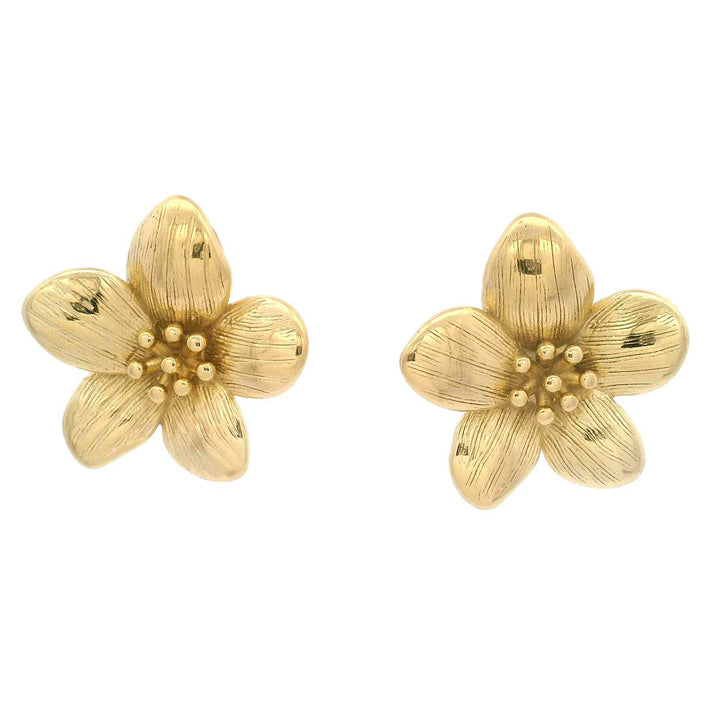 Zahar Gold Statement Stud Earrings