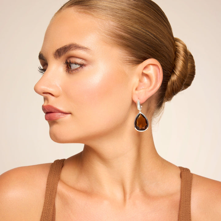 Vasnti Earrings Silver