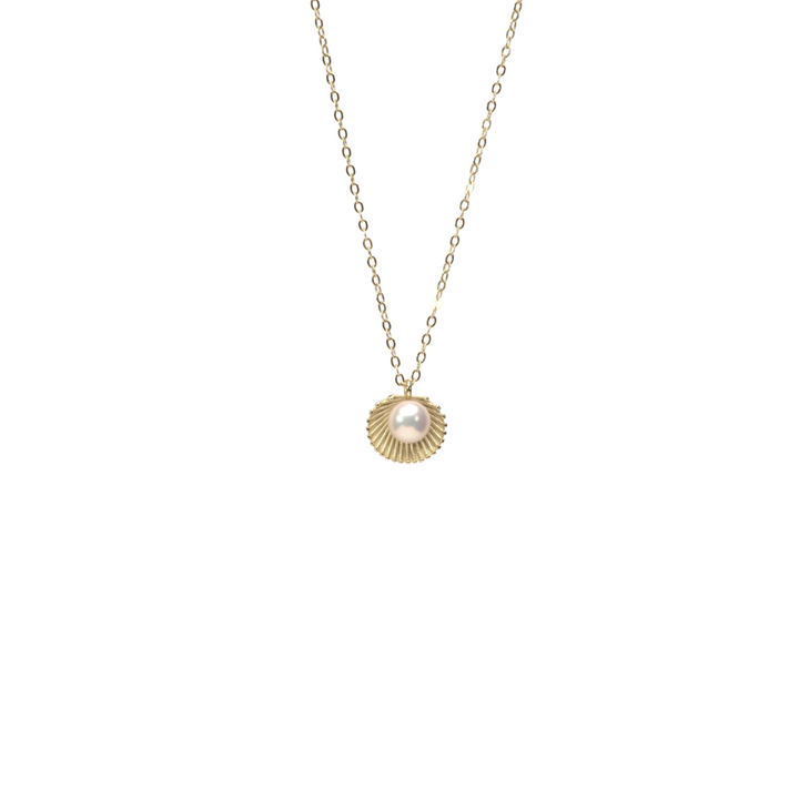 Open shell and pearl necklace