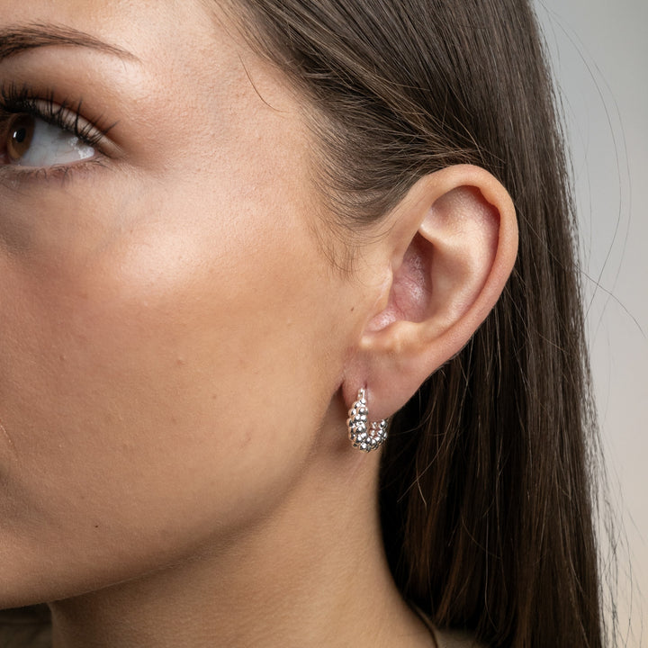 Dani Hoop Earrings