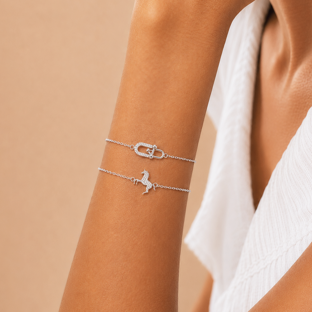 Lucky Link bracelet in Silver
