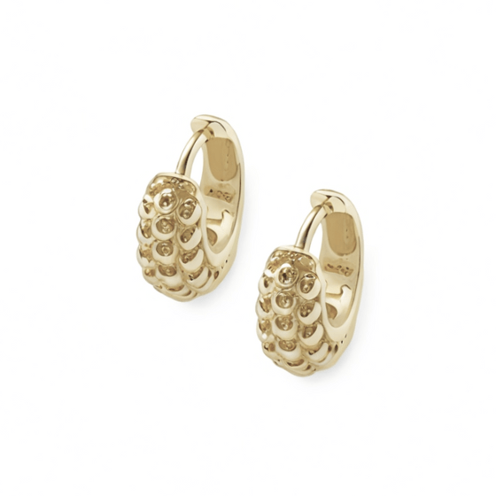 Dar Huggie Earrings