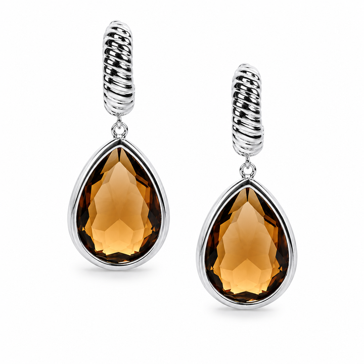 Vasnti Earrings Silver